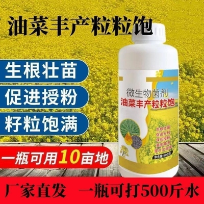 油菜丰产粒粒饱提高出油率促花授粉抗倒伏籽粒饱满叶面肥视频同款