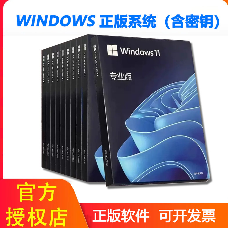 微软Win11专业版64位重装U盘