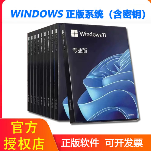微软Win11专业版64位重装U盘