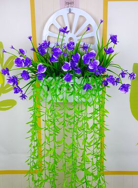 塑料假花墙面装饰蝴蝶兰挂件摆设