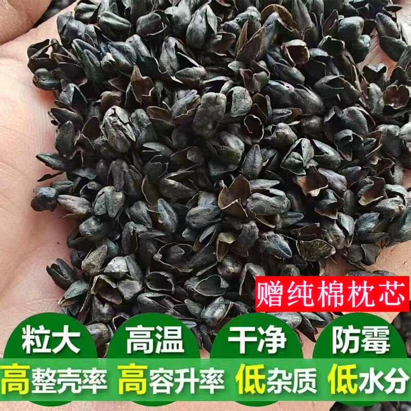 苦荞麦壳散装免洗高温杀菌成人枕芯枕头填充物天然出口级黑苦荞壳