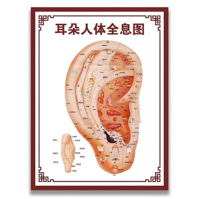 耳穴挂图 耳朵穴位图经络图 耳部穴位图解 耳科宣传挂图 广告海报