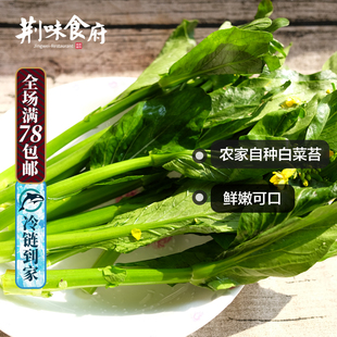 湖北荆州新鲜现摘菜心菜花绿菜苔白菜台农家现摘现发蔬菜叶自种植