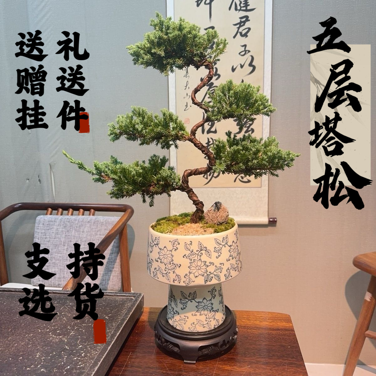 【冲量价】五层真柏老桩盆栽真柏盆景济州五层塔松新中式豪华绿植