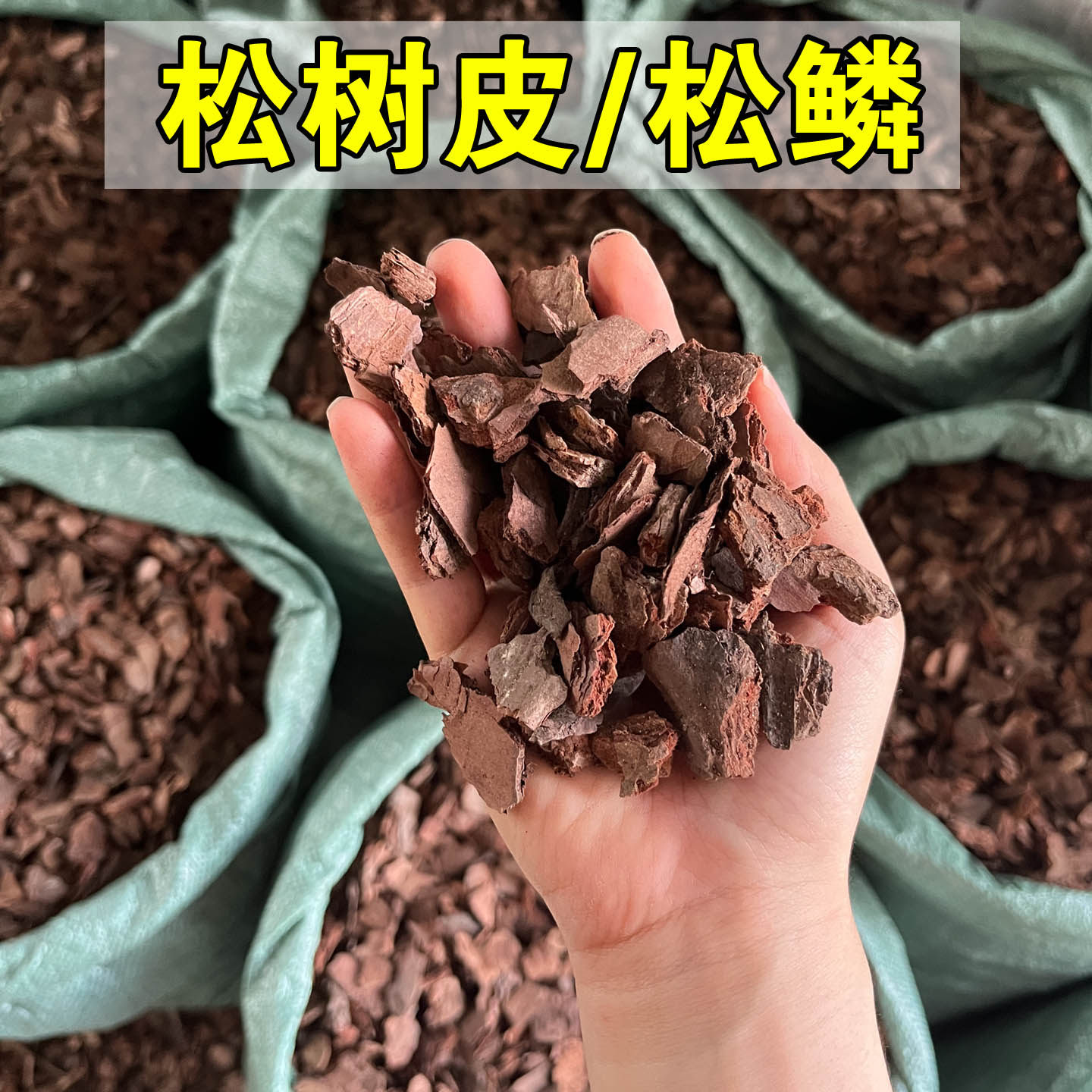 发酵腐熟松树皮兰花植料营养土