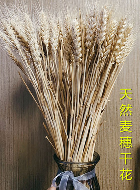 麦穗干花开业大麦装饰摆件