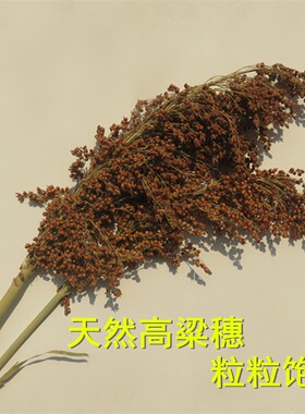 高粱穗农作物装饰挂件秋收节道具