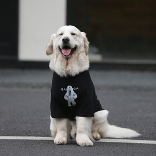 狗狗衣服夏季大型犬薄款棉质T恤金毛防掉毛拉布拉多边牧衣服夏天