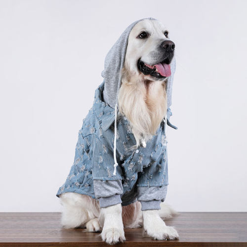大型犬牛仔狗狗衣服春秋款