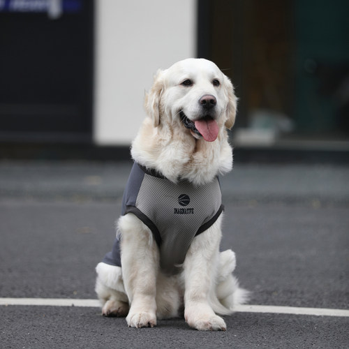 狗狗网眼夏季大型犬薄款衣服