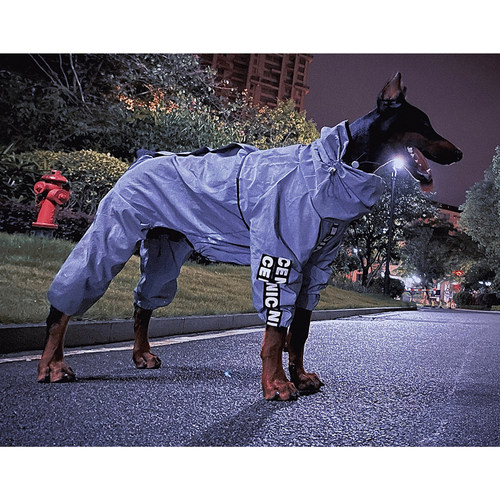 狗狗衣服大型犬夏季金毛拉布拉多