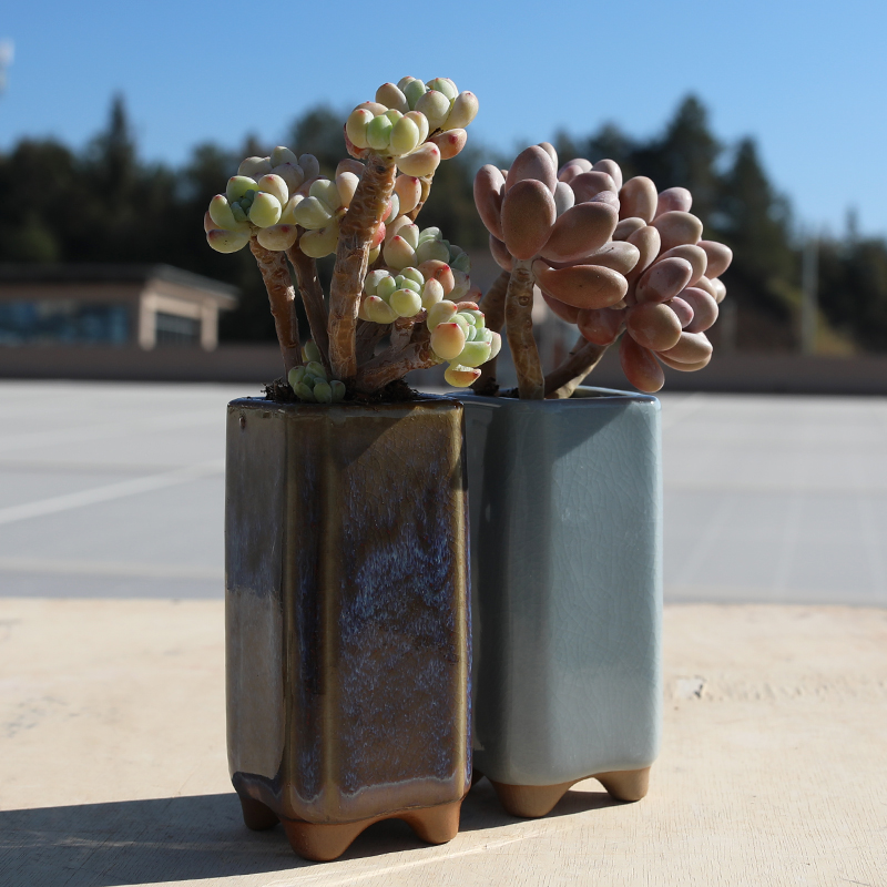 多肉花盆陶瓷粗陶老桩透气创意个性小号陶盆绿植盆栽桃蛋特价清仓