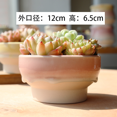 大号简约清新冰裂釉多肉花盆拼盘PP生石花彩虹渐变群生肉肉透气