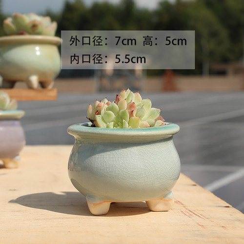 多肉花盆陶瓷简约创意个性彩虹冰裂帽檐透气桌面阳台群生肉肉花器