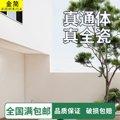 现代通体白色300x600外墙瓷砖围室外庭院别墅广东佛山农村自建房