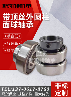 纺织机圆柱面顶丝轴承CSB CSA  RB CHC 203 204 205 206  207 208