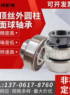 平面推力，耐高温外球面轴承 6205 6006ZZ CSB208 CSB210 NJ315