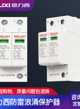 DELIXI ELECTRIC/德力西电气 2P20KA/40KA/65KA电涌浪涌保护器防