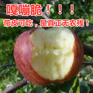 精选特大 包邮 现摘2025年四川大凉山盐源丑苹果8斤装 净重脆甜多汁