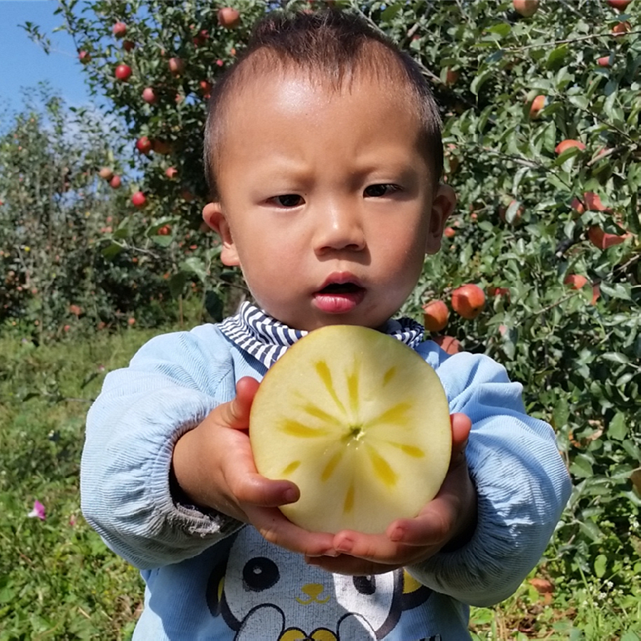 糖心盐源丑苹果脆甜多汁