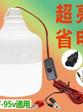 12V36V48V电瓶灯节能摆地摊夜市灯船用电动车专用低压直流led灯泡