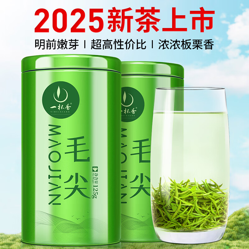 绿茶嫩芽毛尖茶新茶明前春茶散装