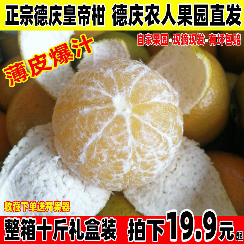 速发德庆皇帝柑广东当季新鲜水果砂糖纯甜橘桔丑子十斤装顺丰包邮