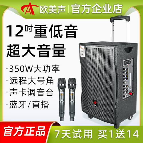 欧美声12寸唱歌跳舞专业户外音响