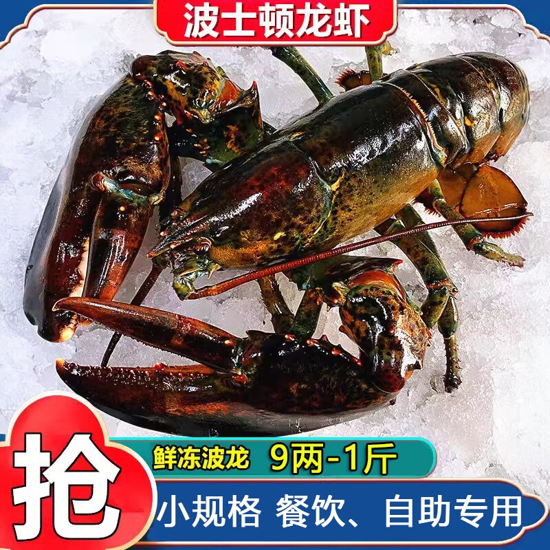 生冻波士顿龙虾非鲜活速冻海鲜水冻虾