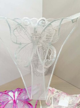 网纱绣花刺绣丁字裤轻复古文艺蝴蝶花轻盈风春夏新款