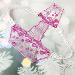 蒲公英形花体蕾丝绣花网布三角内裤女夏新潮渐变香芋紫丁字裤