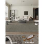 地毯客厅纯色侘寂2024新款 轻奢高级可擦免洗防水简约茶几家用地垫