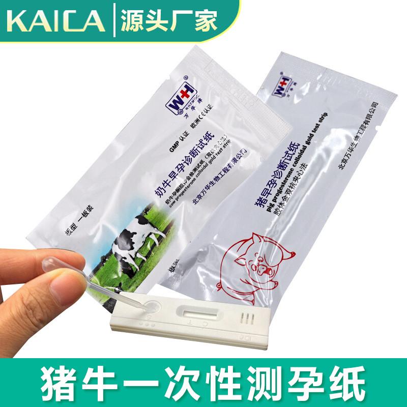 5pcs Early Pregnancy Test Strips 99% Accuracy HCG Testing