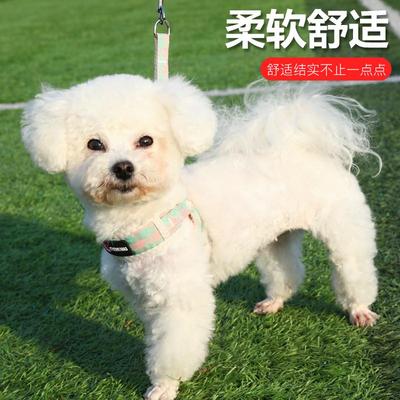 小狗牵引绳小型犬狗狗胸背带可调节泰迪比熊博美幼犬遛狗绳狗链子