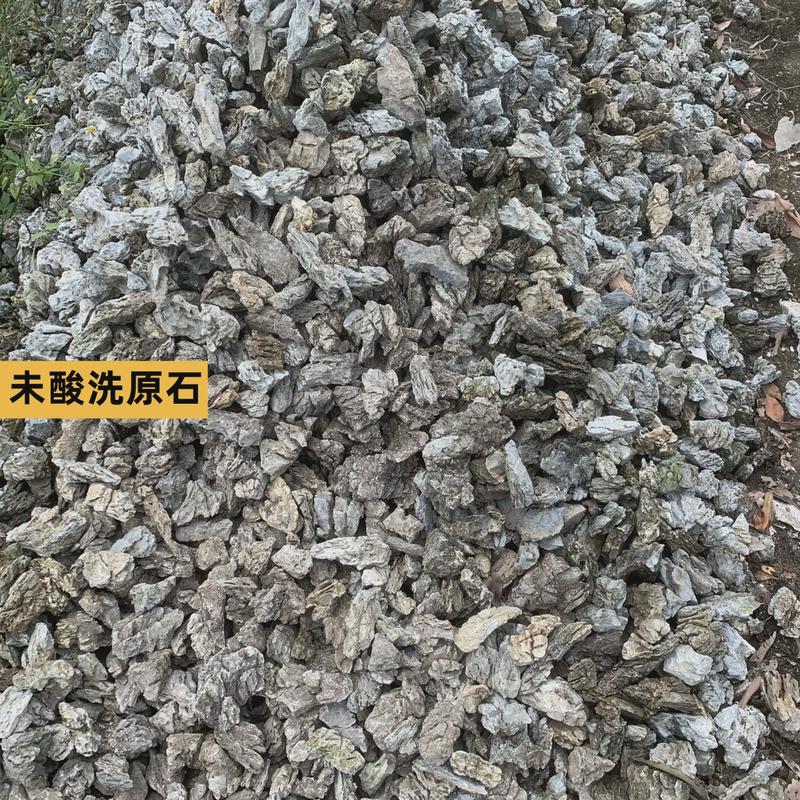 青龙石斤块酸洗草缸微景观石水陆缸迷你苔藓盆景摆件造景石假山石