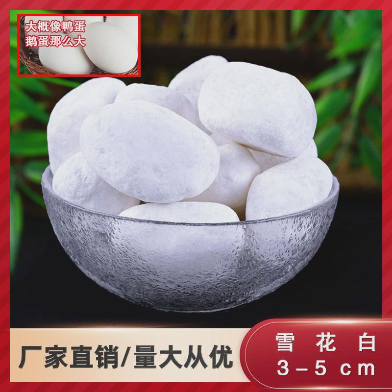 50斤装天然白石子园艺盆栽石头多肉铺面造景庭院郁金香