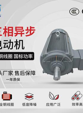 三相异步工业电机YE3-355M1/M2/L-8电动机132/160/200千瓦风机