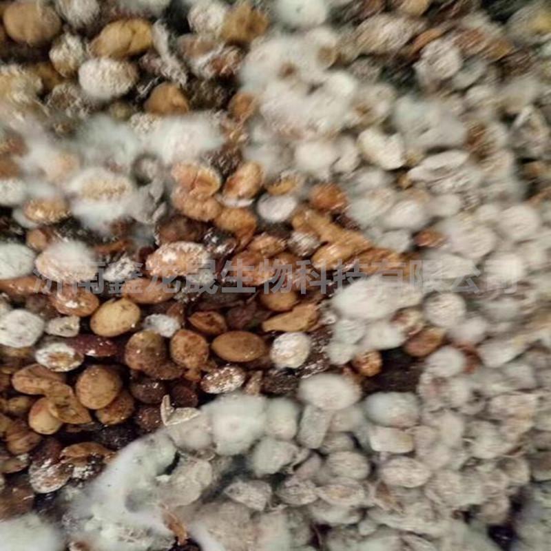 肥料发酵大豆有机肥土壤改良剂生物菌肥腐熟发酵大豆肥发酵大豆