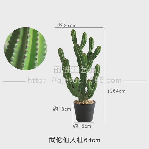 火山石仿真植物造景楼梯门廊装饰景观搭配沙生植物仙人掌景观摆件