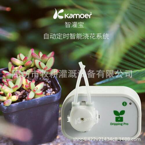 自动浇水器智能园艺花园手机控制蠕动泵家用滴灌浇花水泵