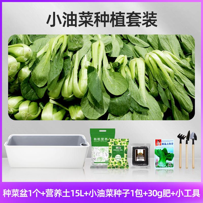 种菜专用箱土院子楼顶室内种花阳台种菜特大家用家庭菜箱庭院种植