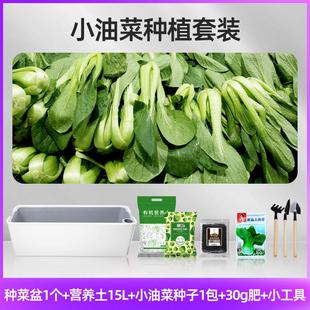 种菜专用箱土种植楼顶室内种花阳台种菜特大家用院子菜箱庭院家庭