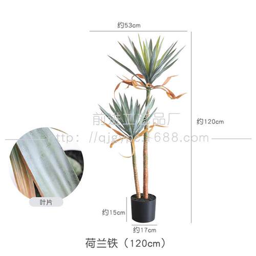 沙生植物芦荟仿真龙舌兰造景装饰摆件假树荷兰铁马尾铁店铺软装