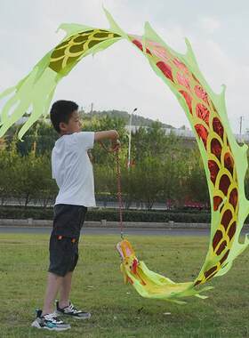 儿童舞龙健身龙带龙头广场耍龙甩彩带道具彩龙广场舞空竹龙手甩龙