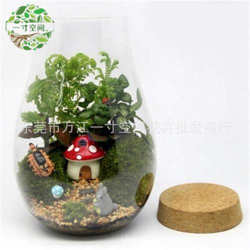 苔藓微景观套装创意礼品水滴瓶微景观diy摆件