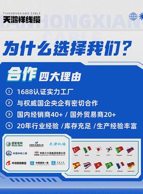 天鸿祥信号线黑色款护套线2芯护套线电线2.5平方款式电源线rvv