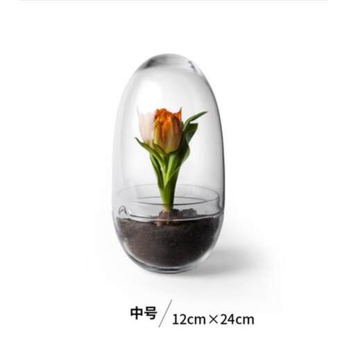 收藏手作玻璃罩微景观生态瓶摆件透明绿植物展示盒防尘三款可选