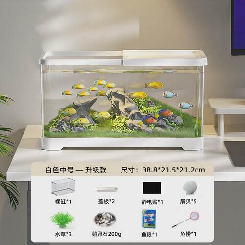 鱼缸客厅家用小型2024新款造景生态全套过滤制氧一体机桌面金鱼缸
