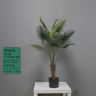 仿真树大型仿真绿植北欧盆栽摆件仿真散尾葵假绿植室内绿植盆景