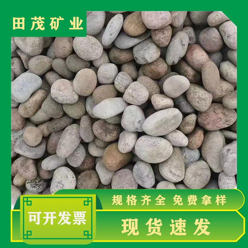 现货鹅卵石变压器用2-4厘米河卵石园林铺路造景河鹅卵石
